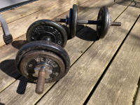 52lb Dumbbell Weights