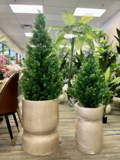 UV-Protected Outdoor Plants – Cedar, Spiral, Boxwood, & Topiary, View more