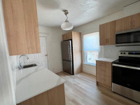 Newly renovated suites in the heart of Garneau for rent