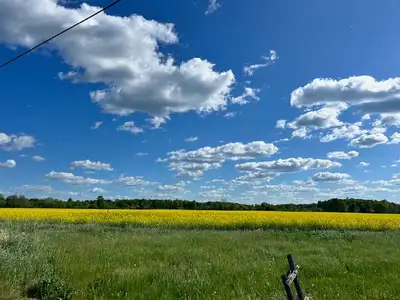 2 Acres of prime location industrial/commercial land right beside the Hwy 17/O'Brien Road exit and v...