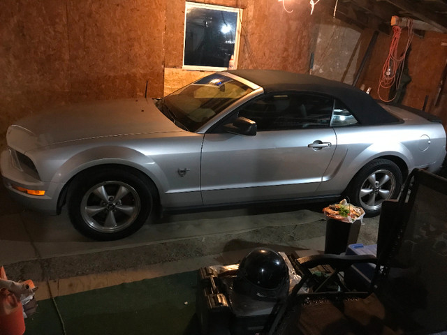 2009 mustang convertible in Cars & Trucks in Owen Sound - Image 2