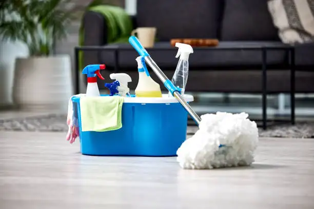Experienced Cleaner Available to Clean Your Home!
