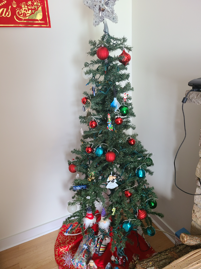 Christmas Tree. 6 Feet (Pickup near Algonquin College), View more