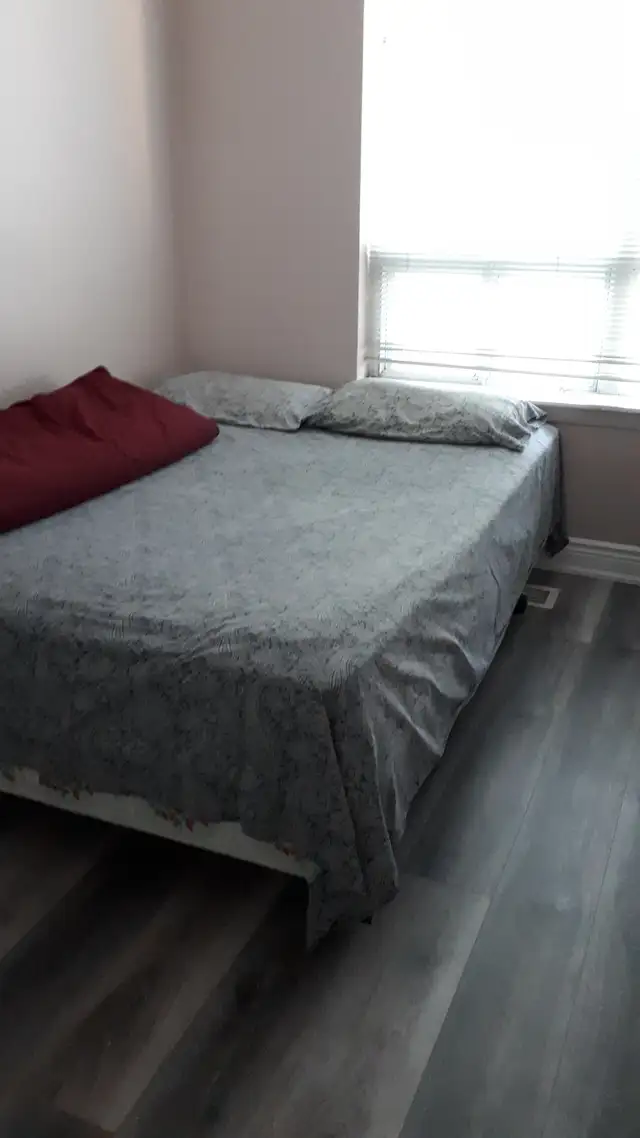 ROOM RENT IN MISSISSAUGA FOR FEMALE63838173140481123