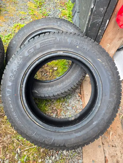 2 GT Radial Ice Pro SUV tires. In good shape decent tread one has 9/32nds the other has 8/32nds. $10...