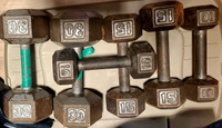 Sorted Iron Dumbells 10s, 15s, 25s, & 30s.