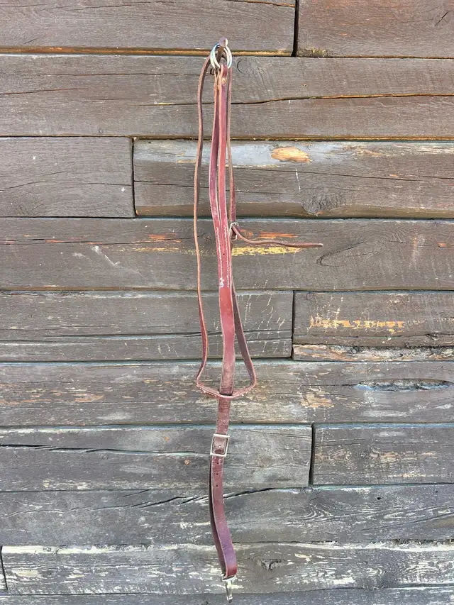 Tack Lot in Equestrian & Livestock Accessories in Dawson Creek - Image 7