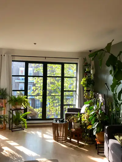 Studio/Loft rénové-insonorisé-meublé (ou semi-meublé) Rosemeont
