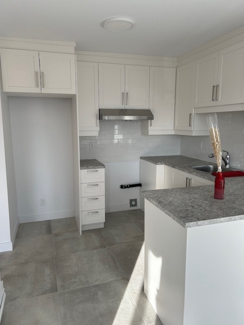 Longueuil grand 4 1/2 — photo 2