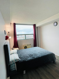 1 Bedroom Condo Rental - Heron/Walkley