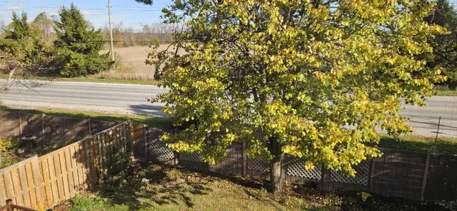 Furnished Room for Rent near Georgian college in Room Rentals & Roommates in Barrie - Image 11