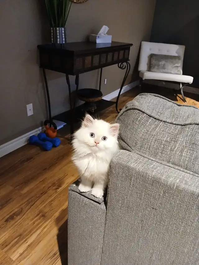 Nanny daycare64840201650562120