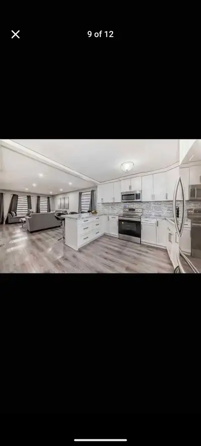 Whitehorn house for rent