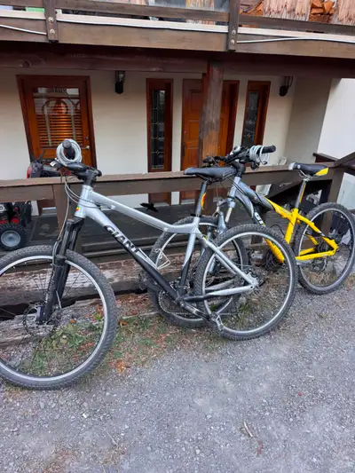 2 Giant Bikes, View more