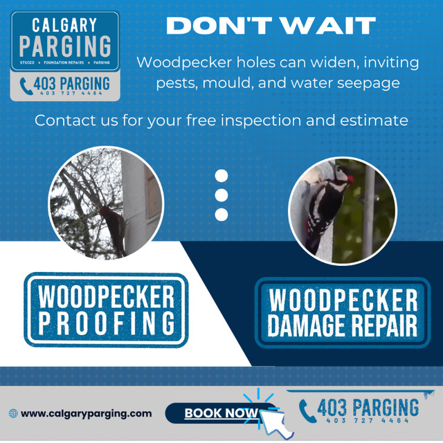 Woodpecker Stucco repairs & life time WOODPECKER PROOFING! BBB in Brick, Masonry & Concrete in Calgary