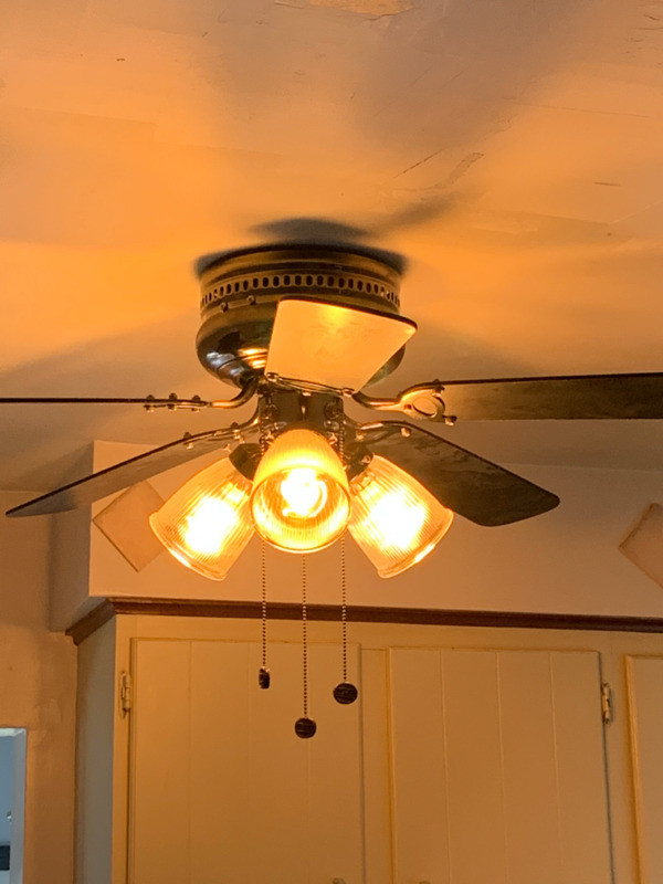 Ceiling Fan in Indoor Lighting & Fans in Oakville / Halton Region