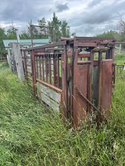 cattle squeeze for sale, View more