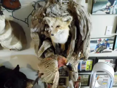 Fox and pheasant wall mount, View more
