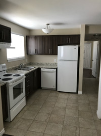 1 bedroom available May 1st