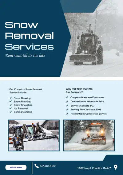 Snow Removal, View more