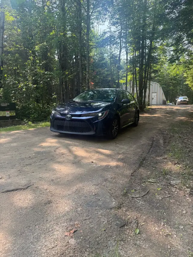 2022 Corolla LE513987910493153281