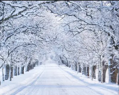 SNOW AND JOY, View more