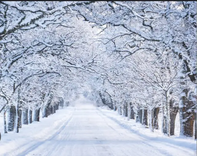 SNOW AND JOY in General Labour in Sudbury - Image 2