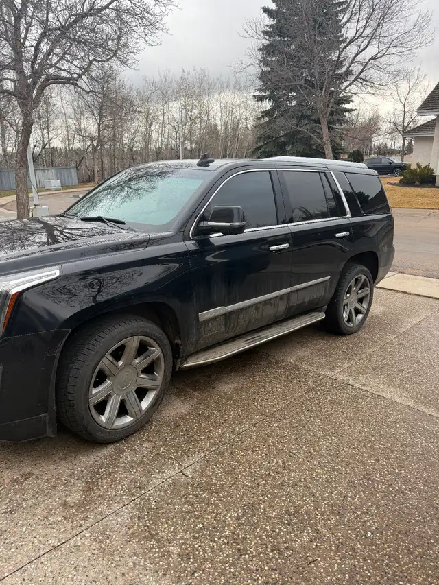 2016 Escalade Premium Luxury