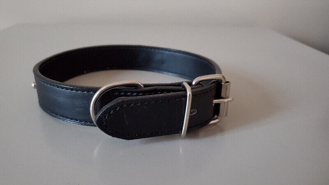 Collier pour chien cuire noir Black leather dog collar dans Accessoires  à Laval/Rive Nord - Image 2