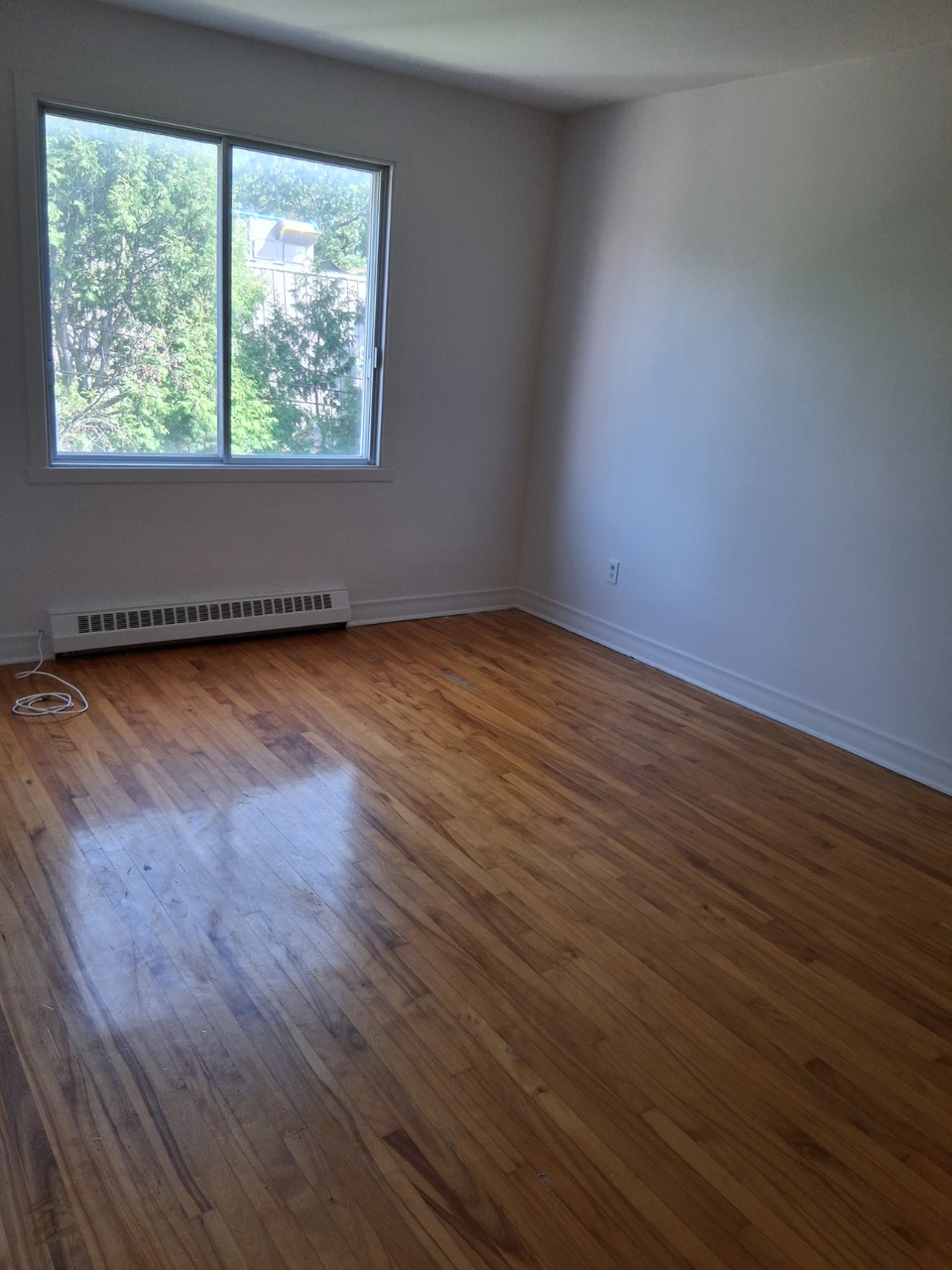 5 1/2 Apartment 5