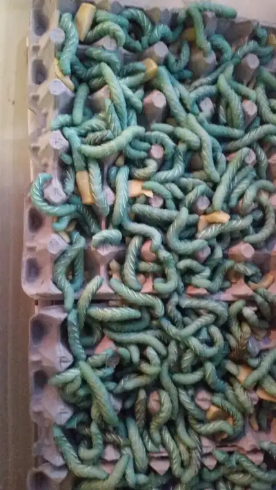 bugs/bugs/bugs, View more