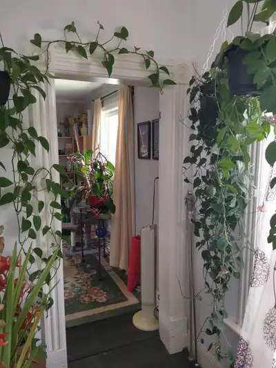 Private room in shared apartment
