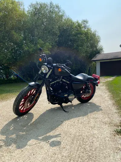Selling my Saftied 2014 Sportster 883, Has Cobra speedster exhaust, Arlen Ness Big sucker air filter...