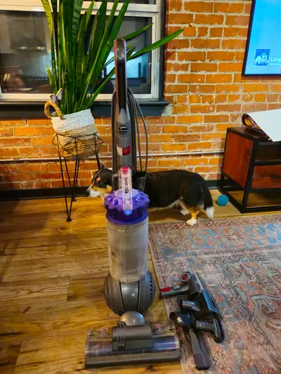 Offering an excellent, fully kitted out vacuum perfect for any situation but especially homes with p...