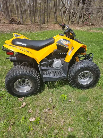 2015 kids quad in great shape, professionally maintained. Ready to ride!