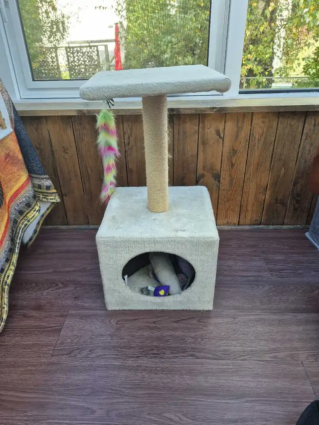 Arbre à chat  in Accessories in Lanaudière - Image 2