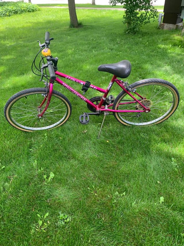 Triumph bike. 12 speed, 23" tires. in Kids in Kitchener / Waterloo - Image 2