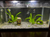 10 gallon aquarium OBO