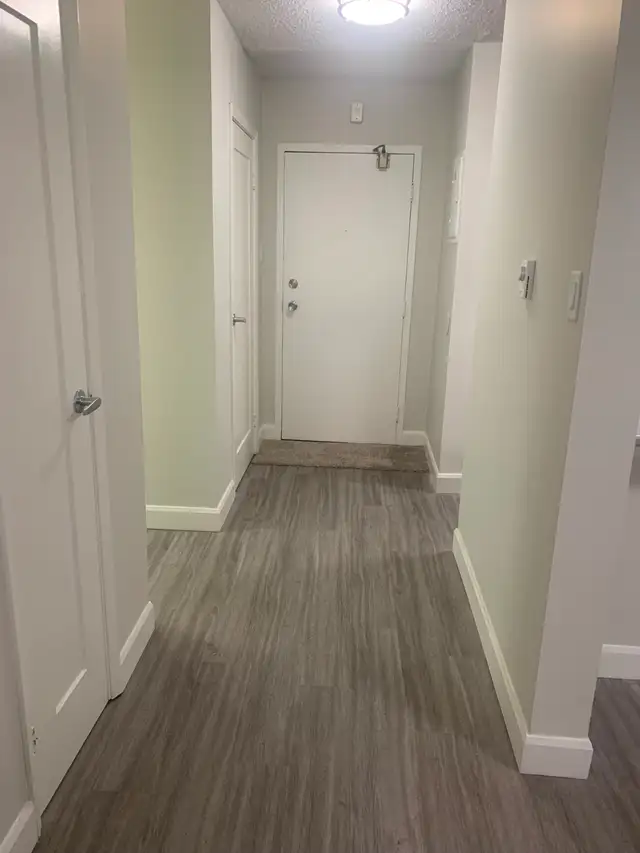 Studio for rent