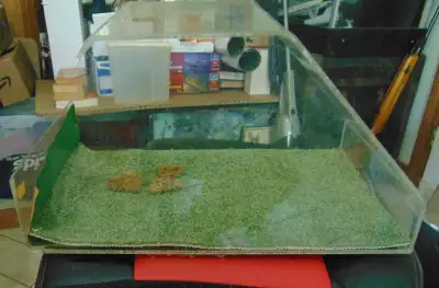 2 plastic display cases, 1 with lid 1 without, View more