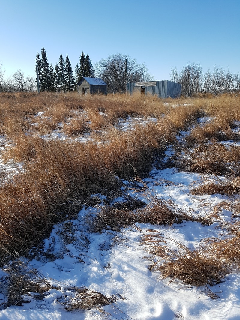 Acreage near Reston Land for Sale Brandon Kijiji