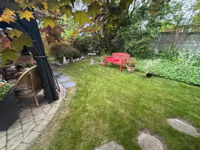 Available for any kind of job. In case you need help with Painting Moving Mowing Gardening Cleaning...
