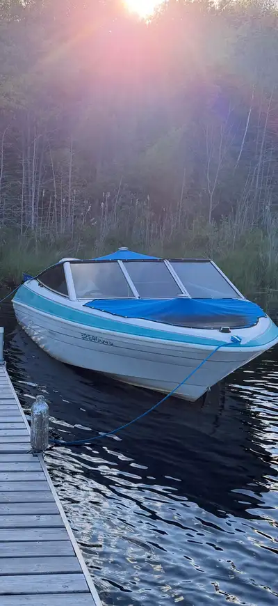 1994 18’ bowrider with a 2004 honda BF115 Ran last year, starts no problem but doesnt go high RPM. B...