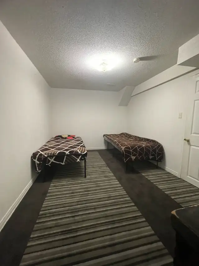 Basemnt for rent Brampton
