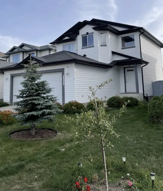 Beautiful Silvery Berry House for Rent