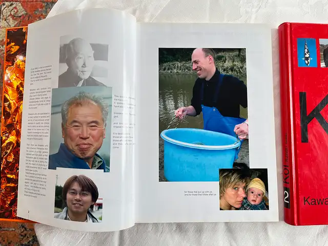 Koi 1 & Koi 2 – Mint Hardcover Set by Harald Bachmann in Other in City of Toronto - Image 3
