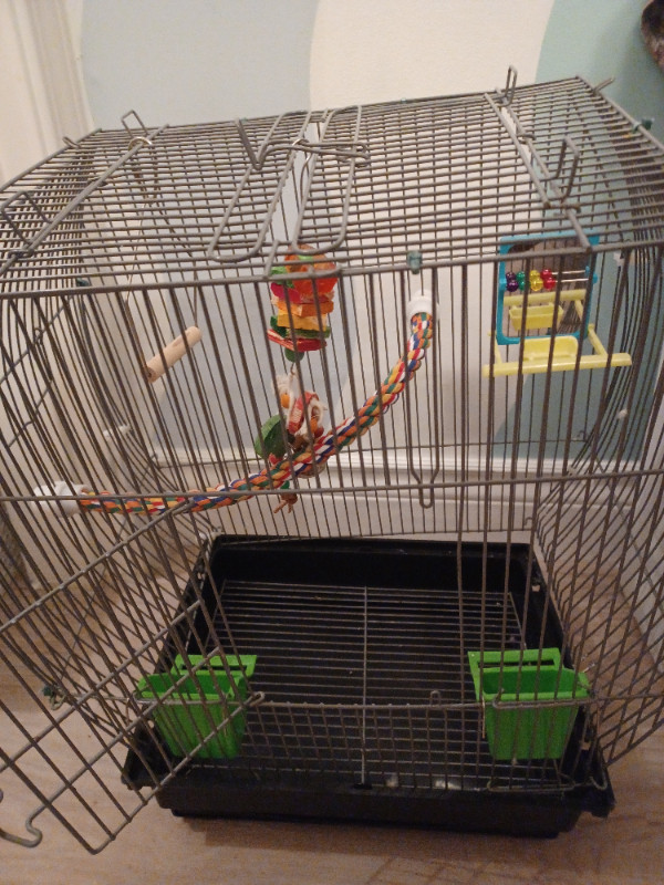 Open top budgie/finch bird cage, AVAILABLE in Birds for Rehoming in Abbotsford