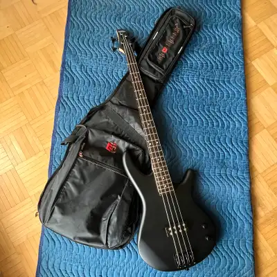 Electric bass guitar w/soft case Looking to learn how to strum, pick, or slap an electric bass? I’ve...