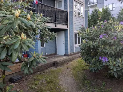 Searching for a tenant for this one-bedroom, ground floor, corner-suite with a private entrance. Ren...