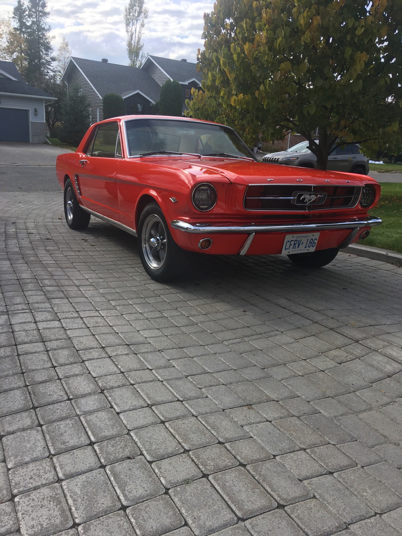 1964 1/2 Ford Mustang Classic Cars Timmins Kijiji